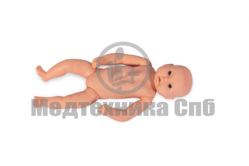 Модель младенца с пуповиной